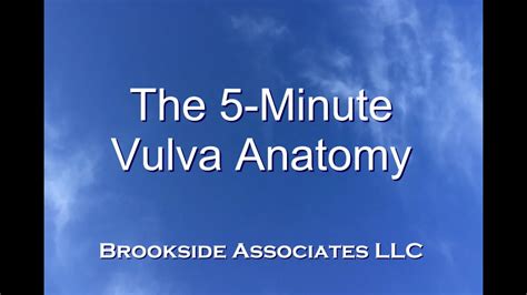 oma vagina|5 Minute Vulva Anatomy Video 